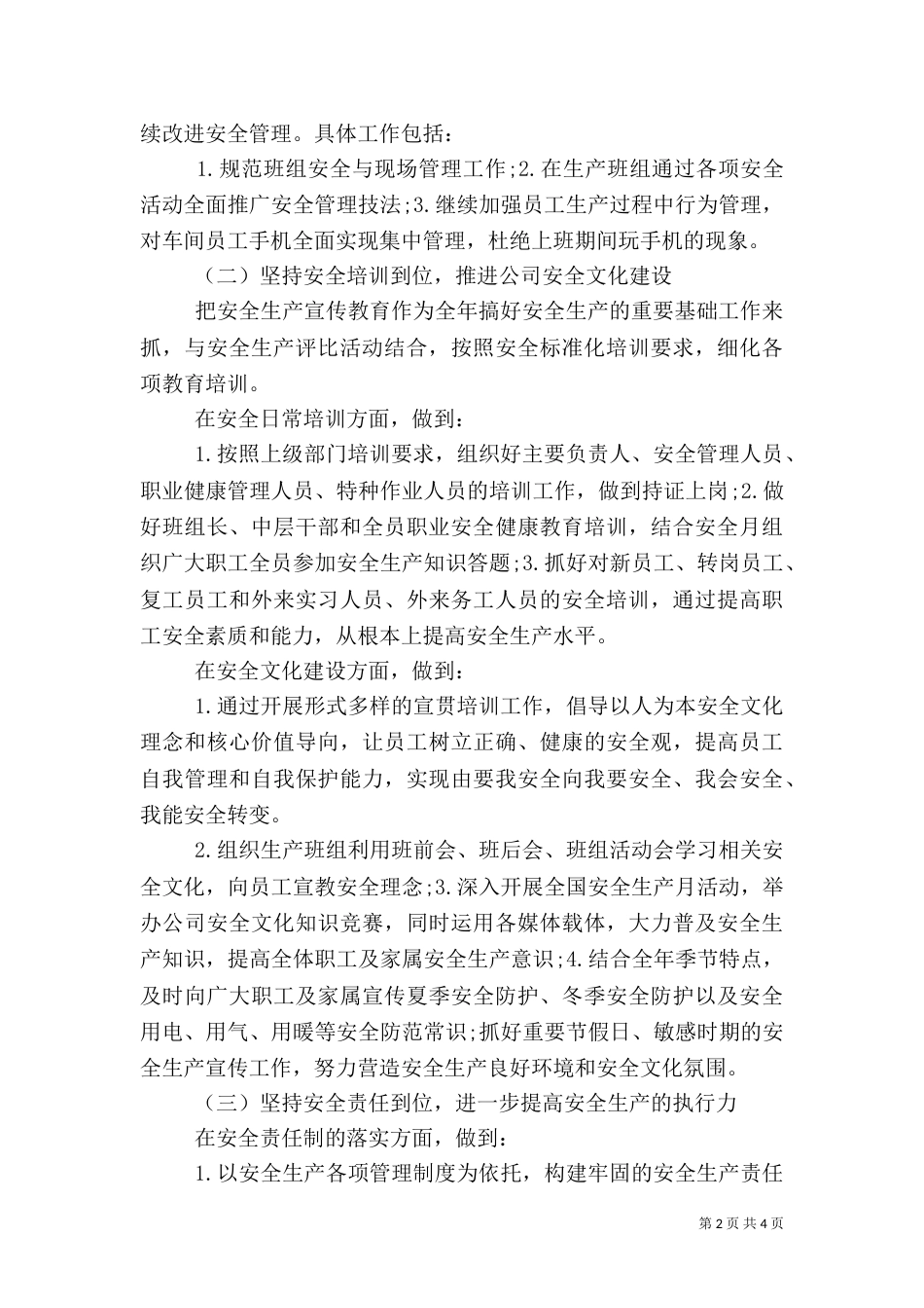 公司安全生产年度计划_第2页