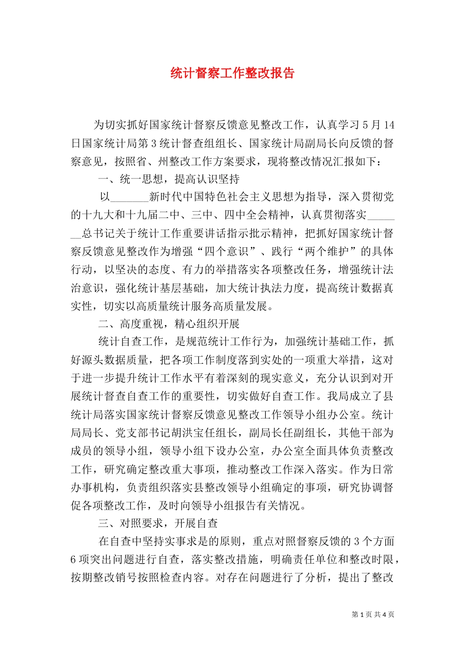 统计督察工作整改报告_第1页