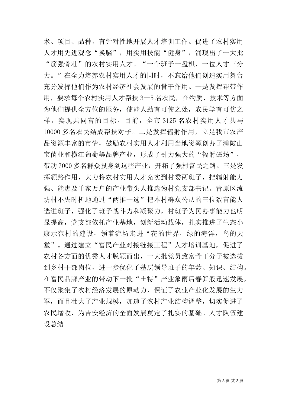 人才建设工作总结_第3页