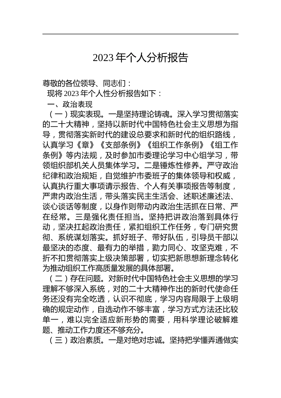 2023年个人分析报告_第1页