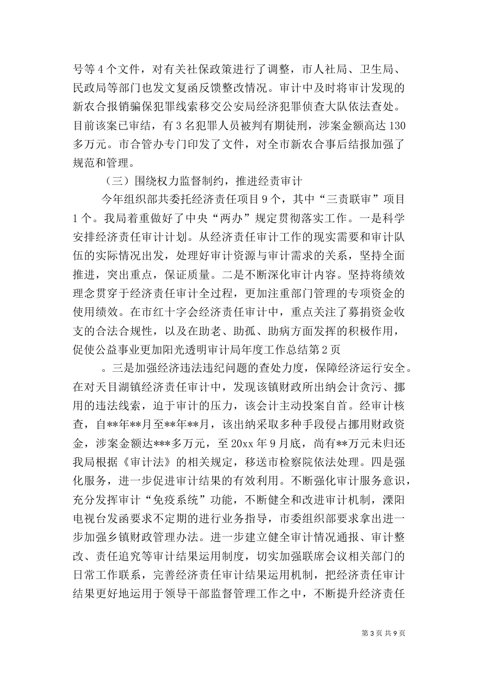 审计局年度工作总结（七）_第3页