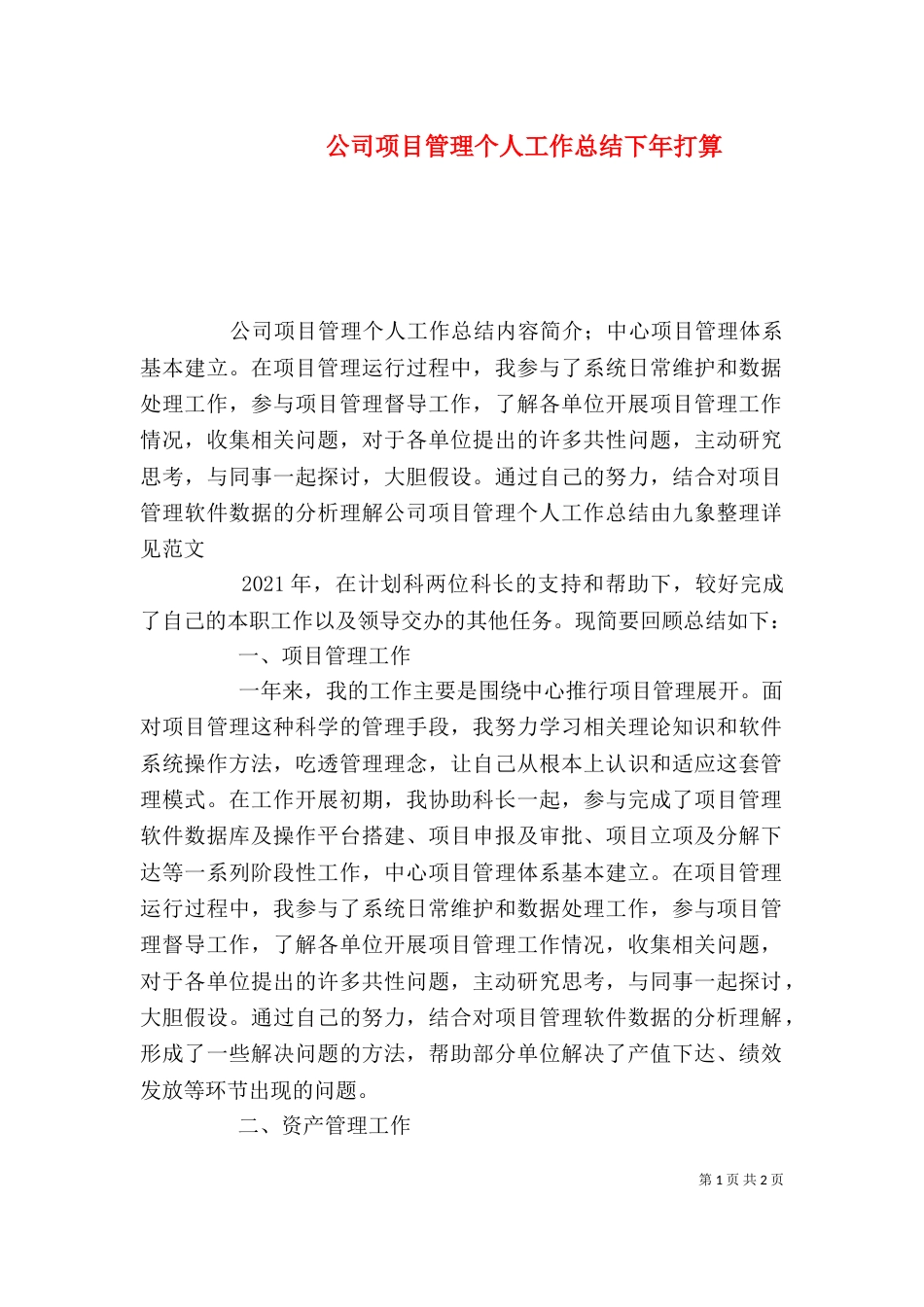 公司项目管理个人工作总结下年打算_第1页