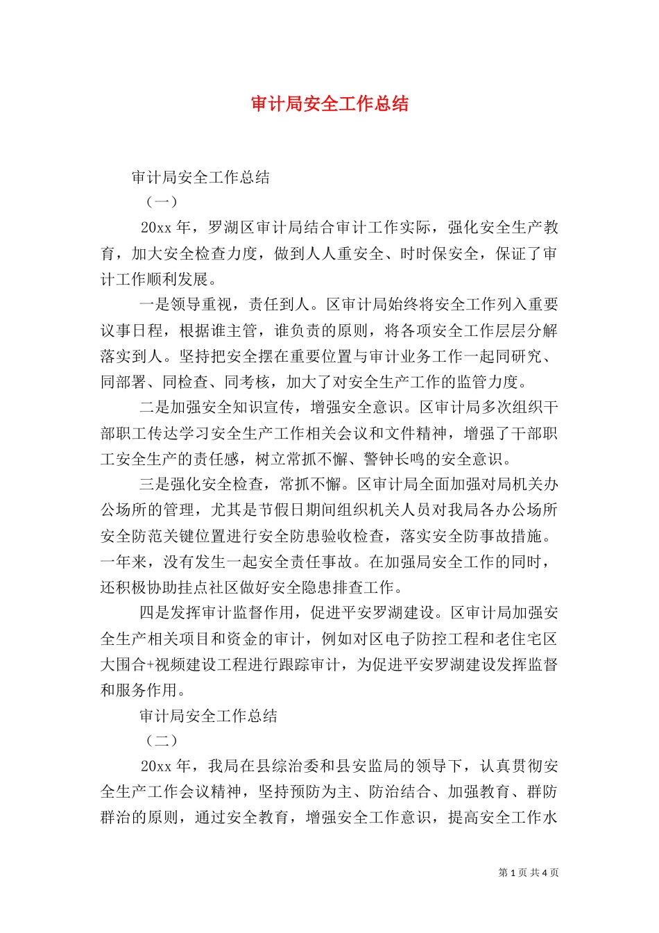 审计局安全工作总结_第1页