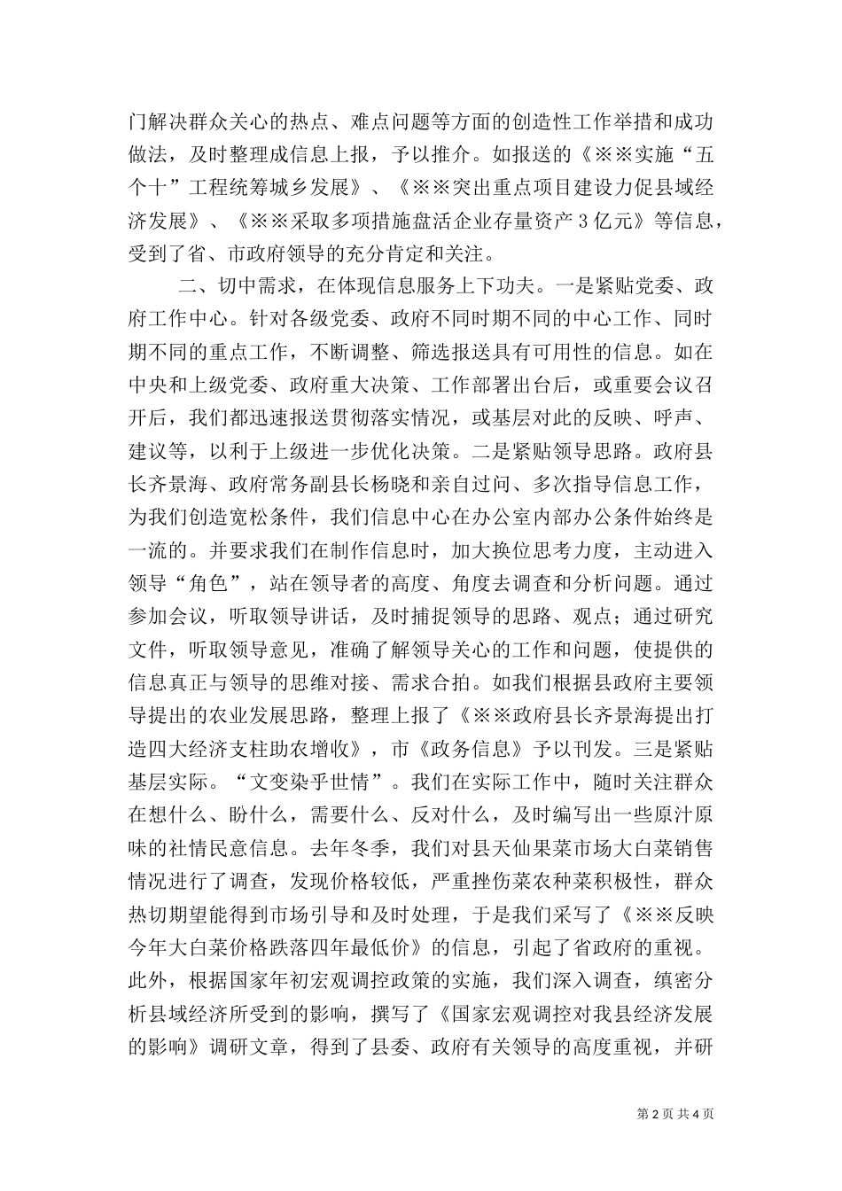 政务信息中心工作总结（九）_第2页