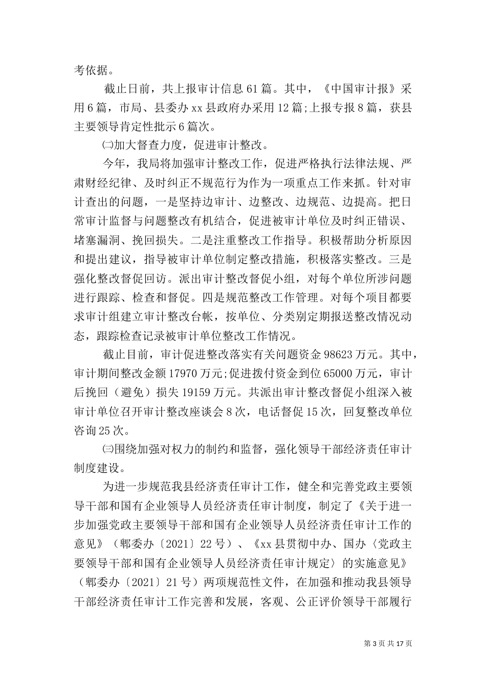 审计局年终工作总结（七）_第3页