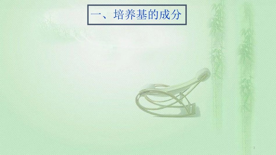 植物组织培养培养基及操作技术[共154页]_第3页