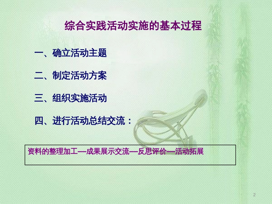 综合实践活动实施流程[共18页]_第2页