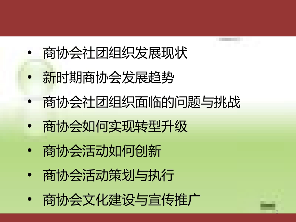 现代商协会运营与创新[共43页]_第2页