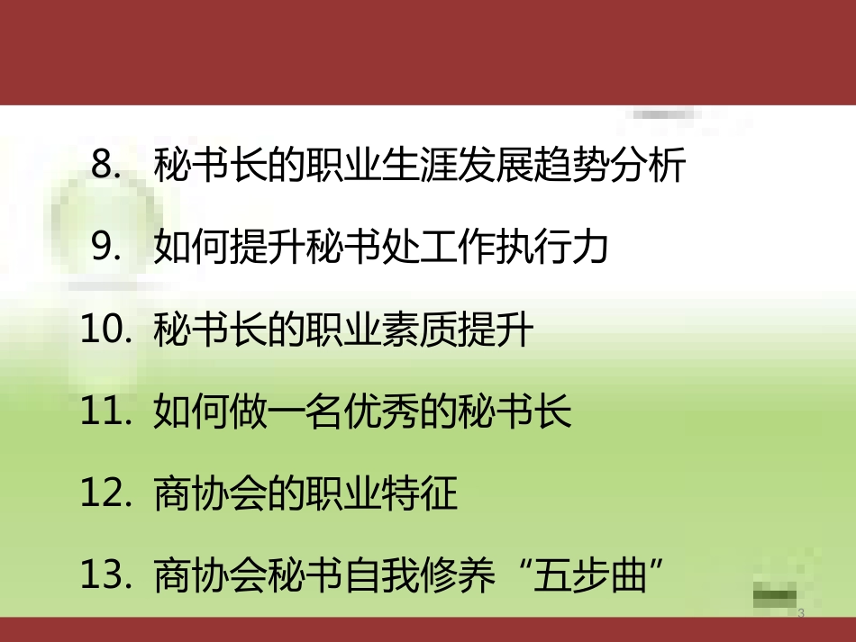 现代商协会运营与创新[共43页]_第3页
