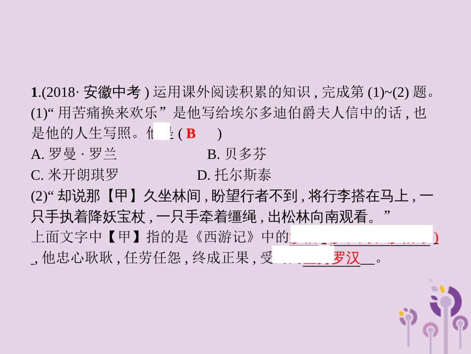 课标通用中考语文总复习第1部分专题3名著导读课件_第2页