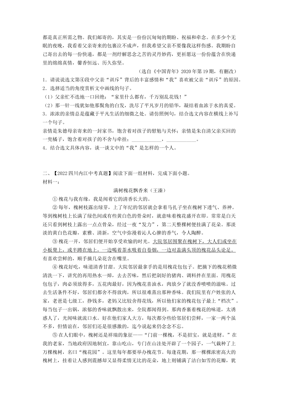 专题09：散文阅读【专题检测】-备战2023中考语文一轮复习通关宝典（解析版）_第2页