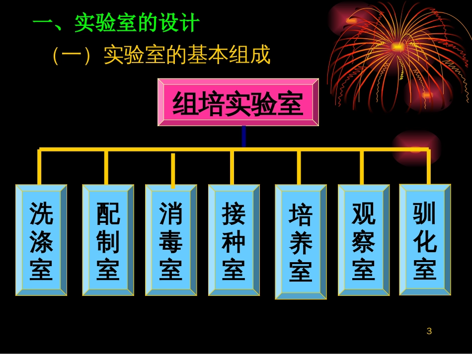 组织培养实验室设计[共61页]_第3页