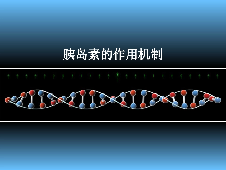 胰岛素作用机制[共7页]_第1页