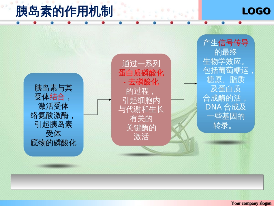 胰岛素作用机制[共7页]_第2页