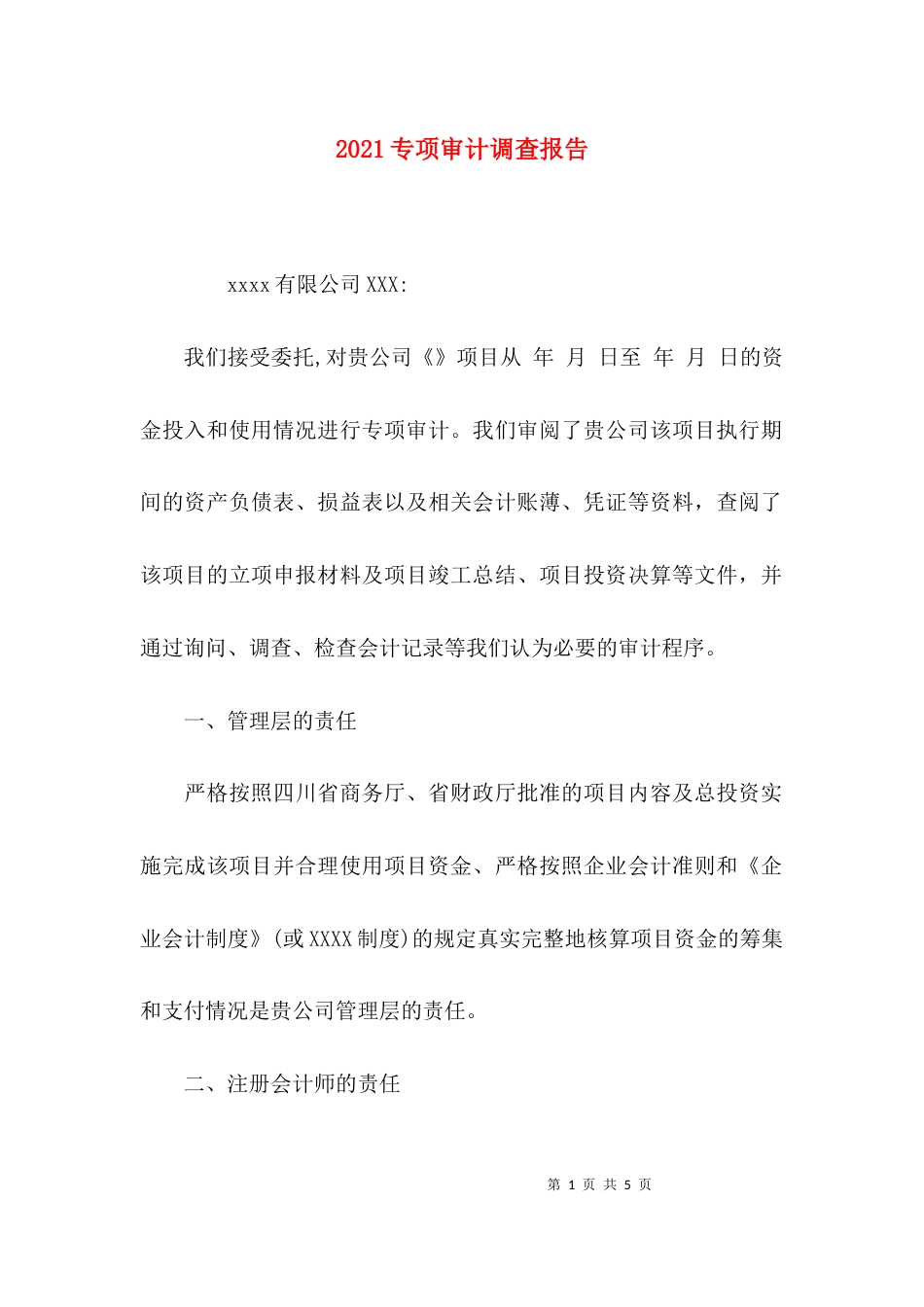 2023专项审计调查报告_第1页