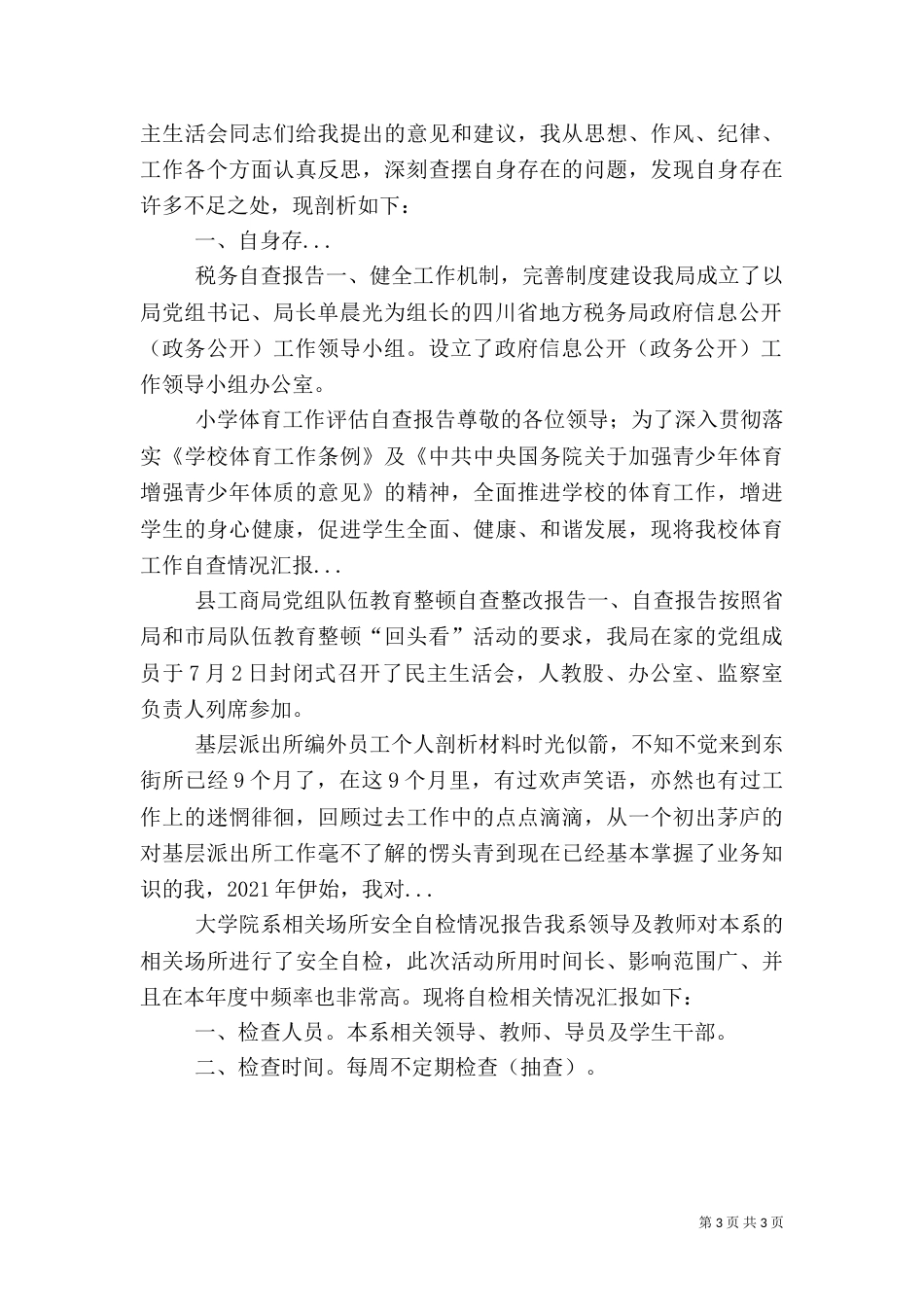 税务自查报告（十）_第3页
