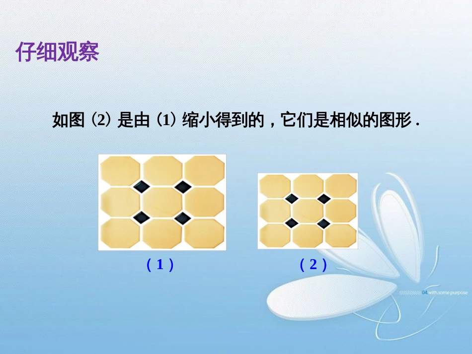 相似多边形[共23页]_第2页