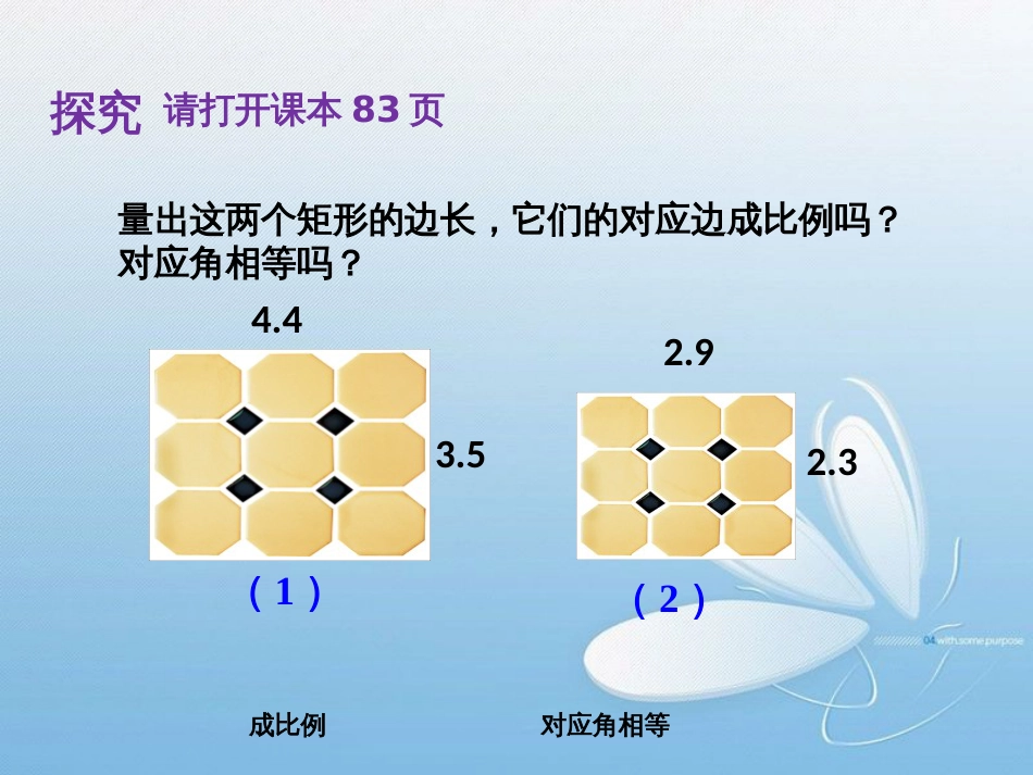 相似多边形[共23页]_第3页