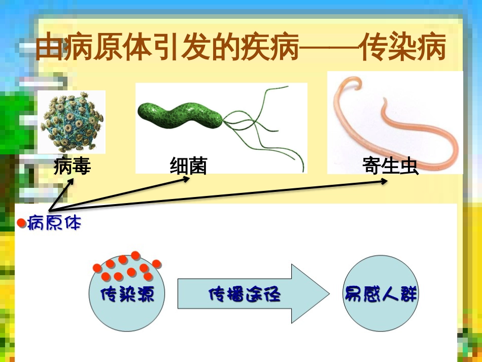主题十：健康地生活_第3页