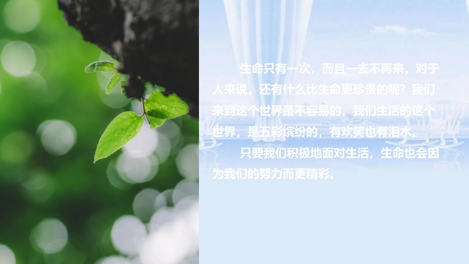 珍惜生命+活出精彩_第2页