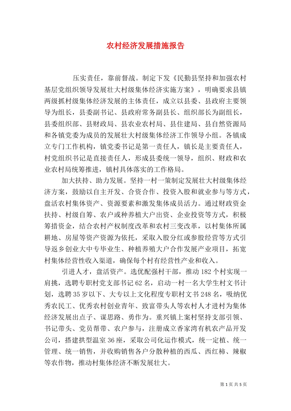 农村经济发展措施报告_第1页