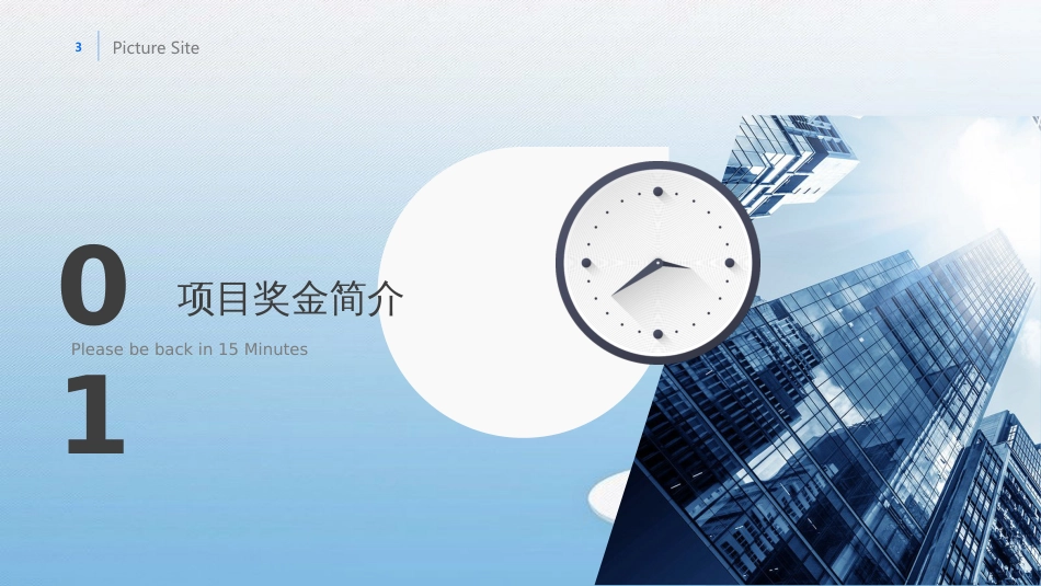 项目奖金简介-样本_第3页