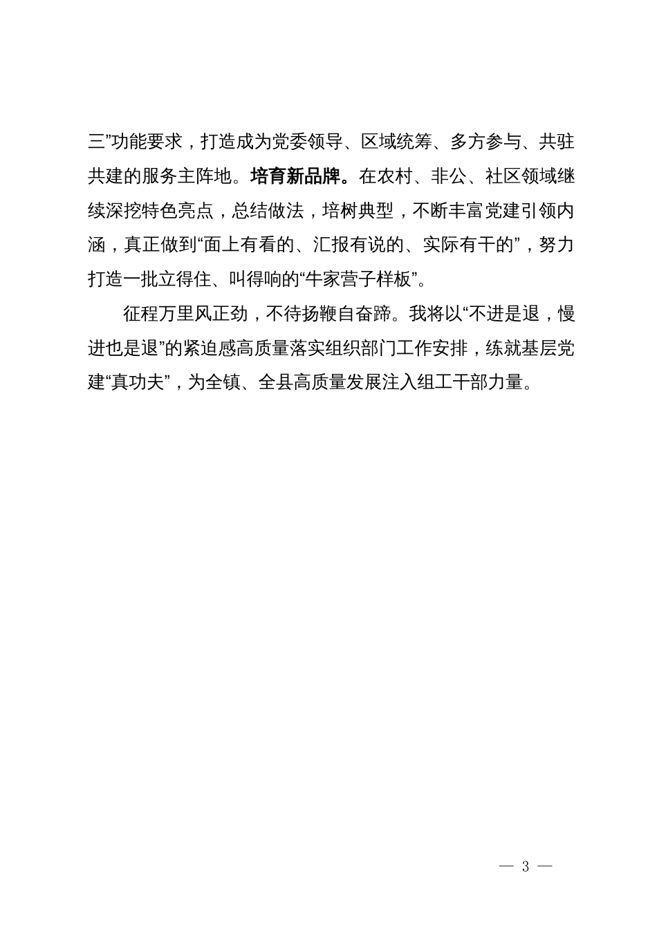 镇党委组织委员在组织工作会议上的发言_第3页