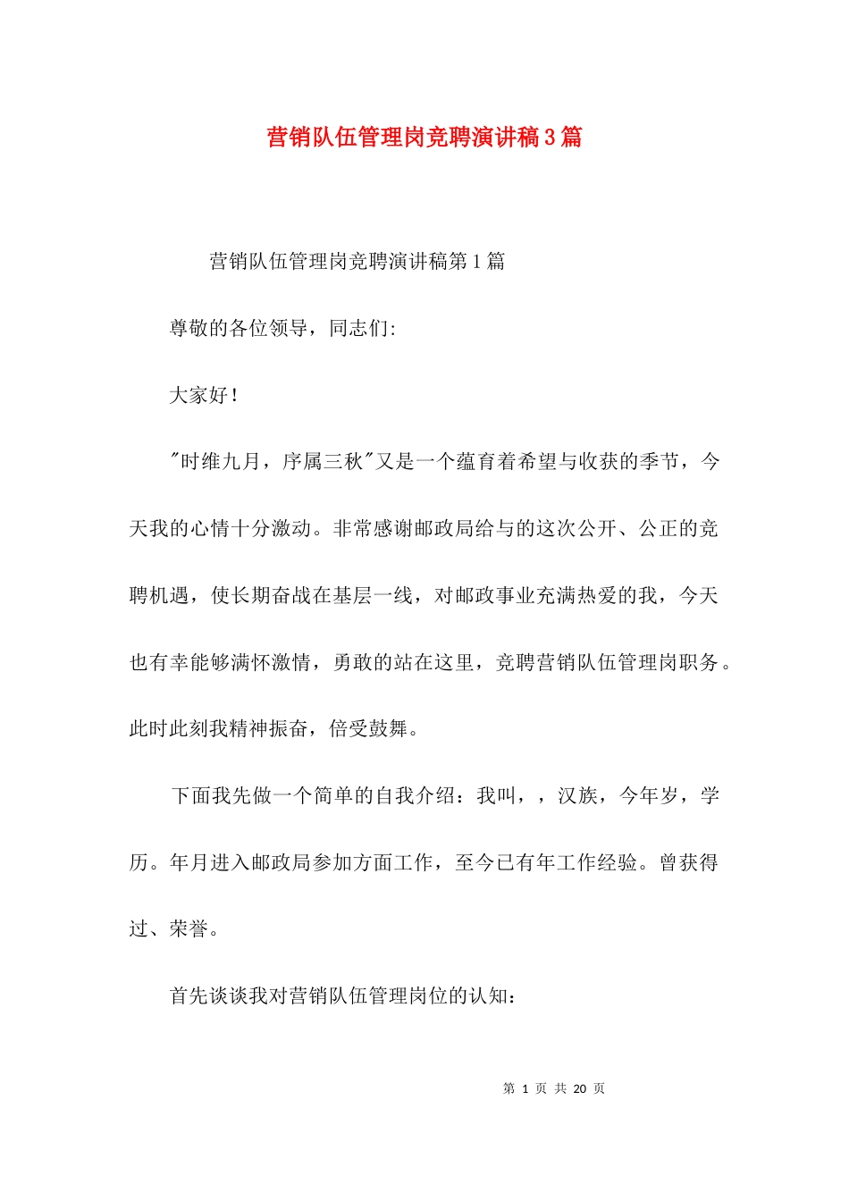 营销队伍管理岗竞聘演讲稿3篇_第1页