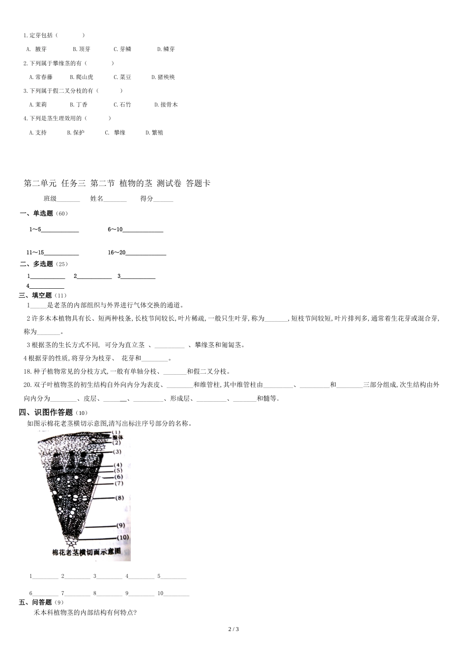 植物生产与环境-单元二-任务三-植物营养器官_第2页