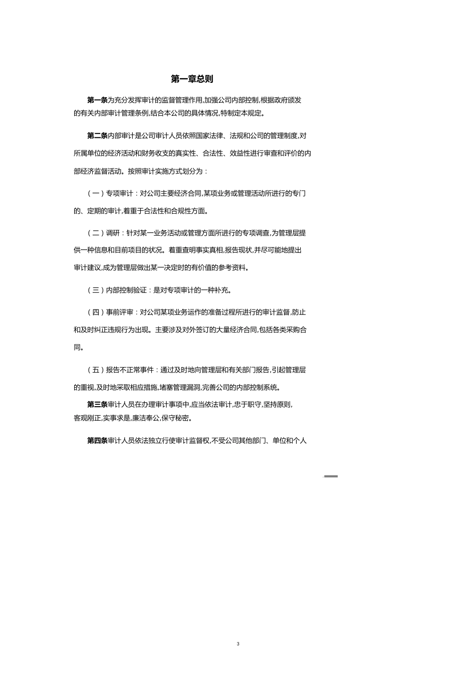 银川某公司审计制度[共17页]_第3页