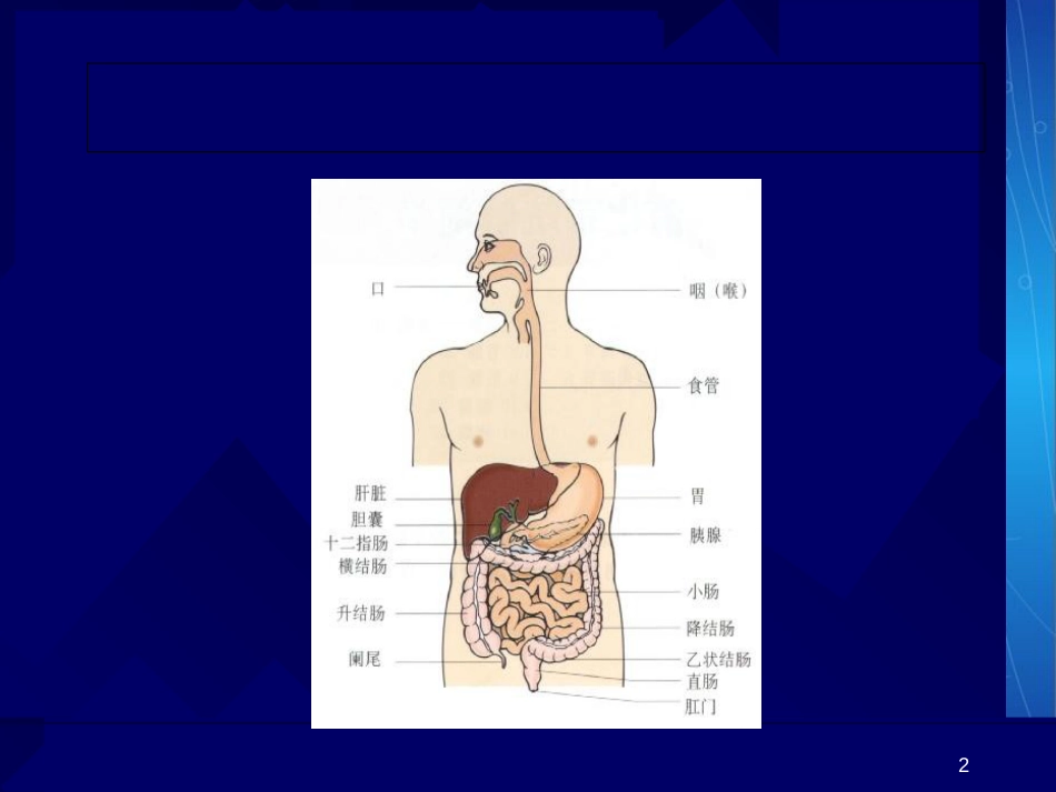 消化道出血ppt[共87页]_第2页