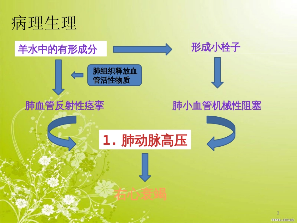 羊水栓塞的护理ppt课件_第3页