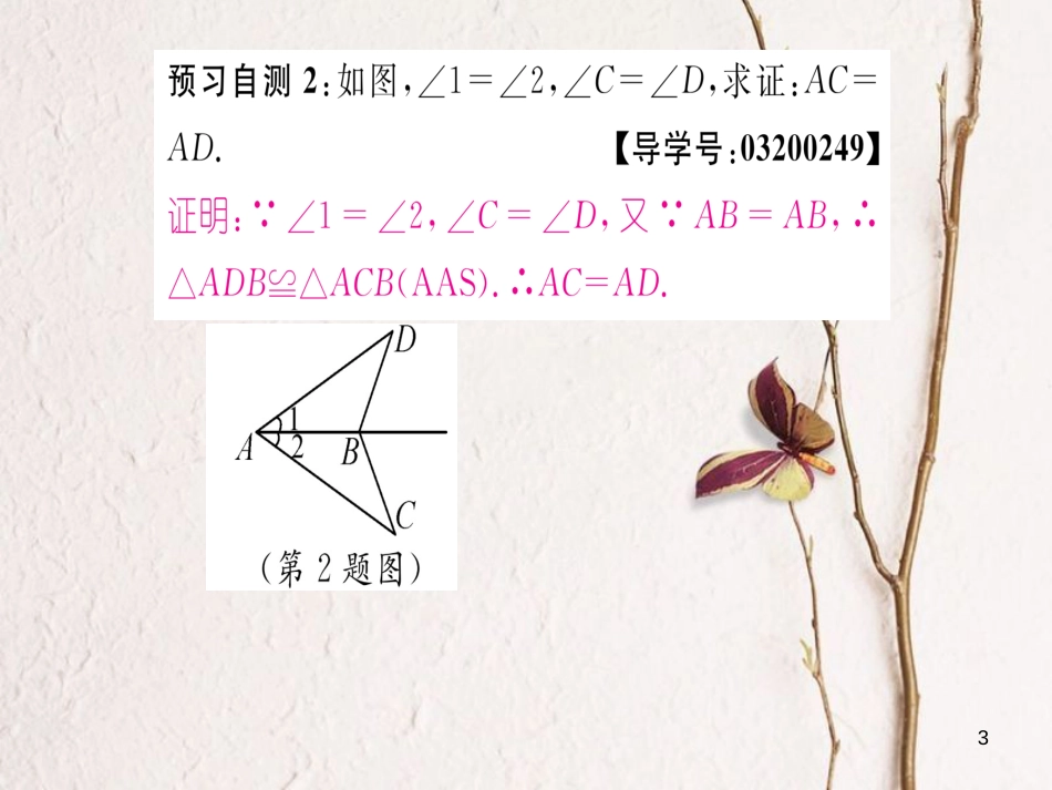 八年级数学上册 2.5 全等三角形的判定 AAS（第4课时）课件 （新版）湘教版[共21页]_第3页