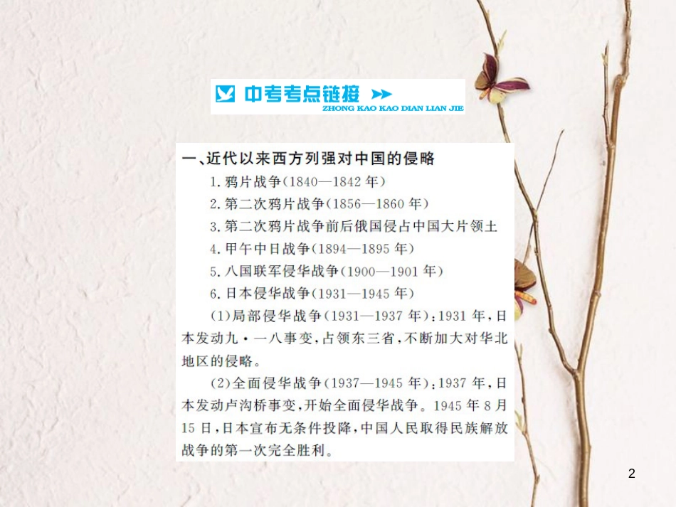 中考历史 基础知识夯实 专题突破一 列强的侵略与中华民族的抗争课件 岳麓版[共19页]_第2页