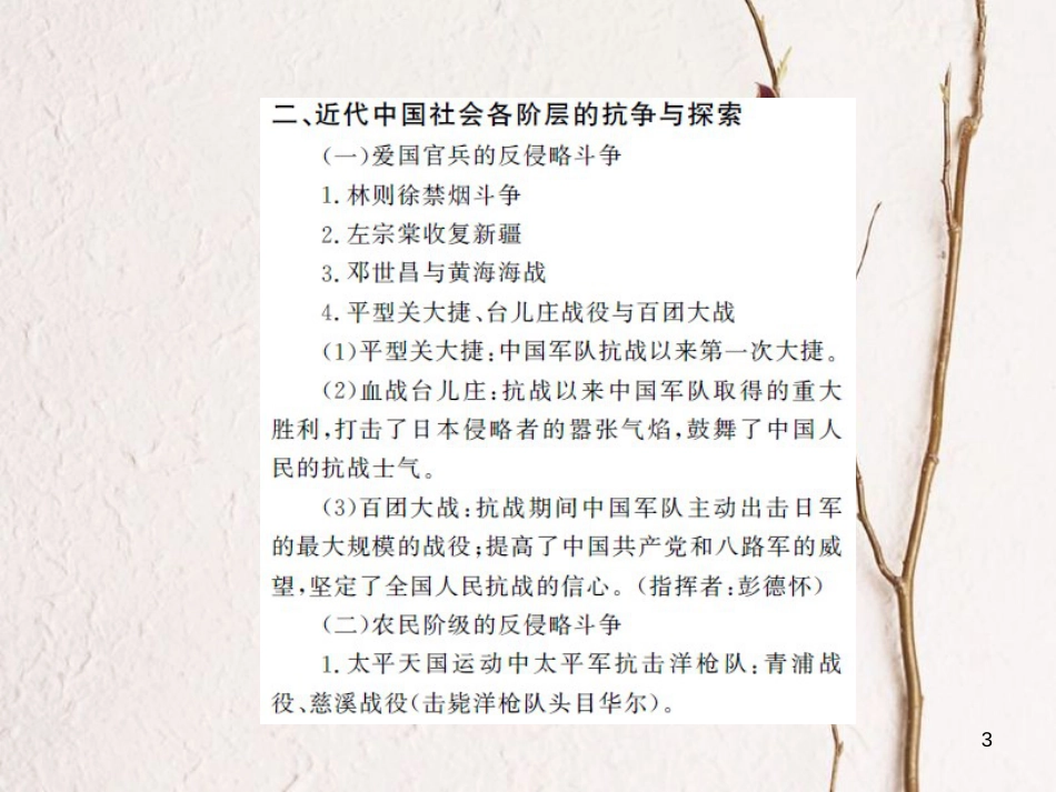 中考历史 基础知识夯实 专题突破一 列强的侵略与中华民族的抗争课件 岳麓版[共19页]_第3页