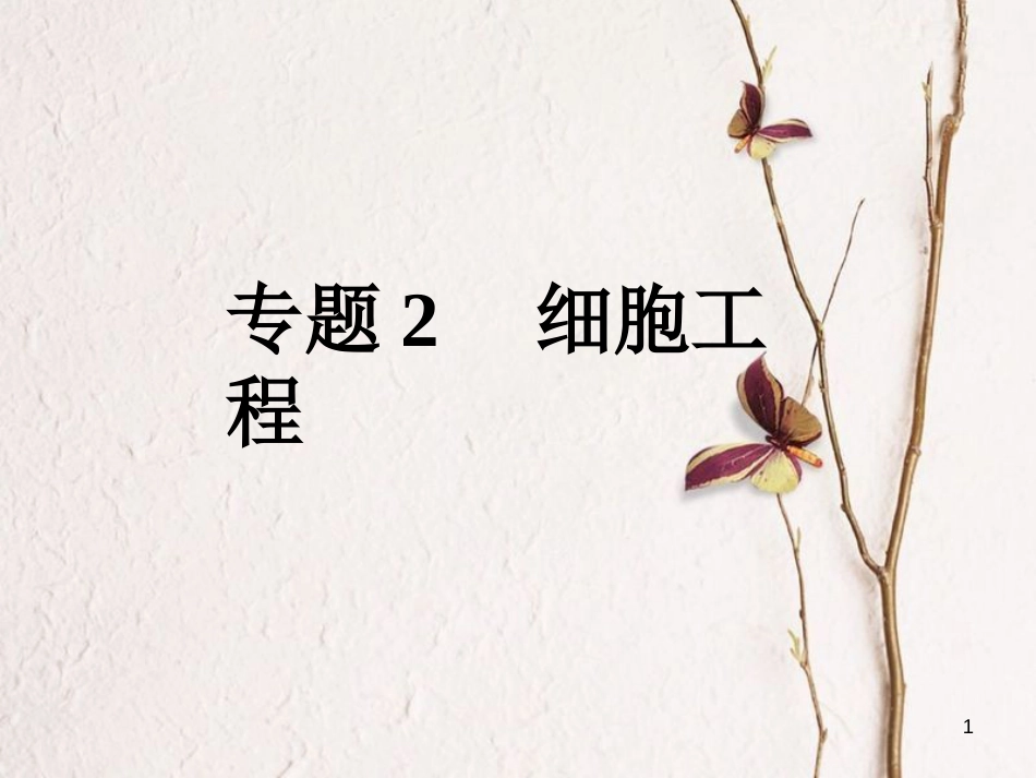 高考高考生物一轮复习 专题二 细胞工程（第四十九课时）植物细胞工程课件 新人教版选修3_第1页