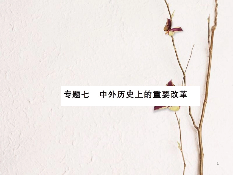 中考历史总复习 第二篇 专题突破七 中外历史上的重要改革课件[共12页]_第1页