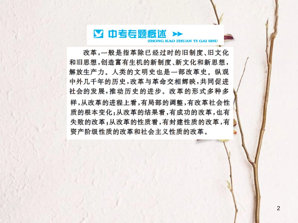 中考历史总复习 第二篇 专题突破七 中外历史上的重要改革课件[共12页]_第2页