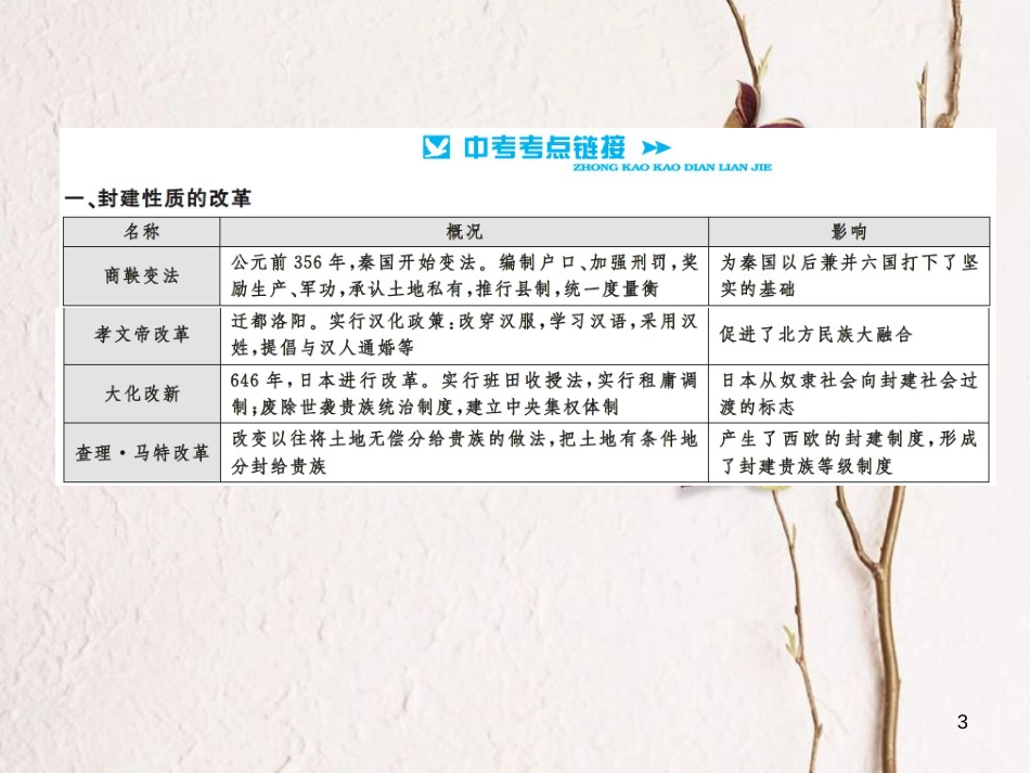 中考历史总复习 第二篇 专题突破七 中外历史上的重要改革课件[共12页]_第3页