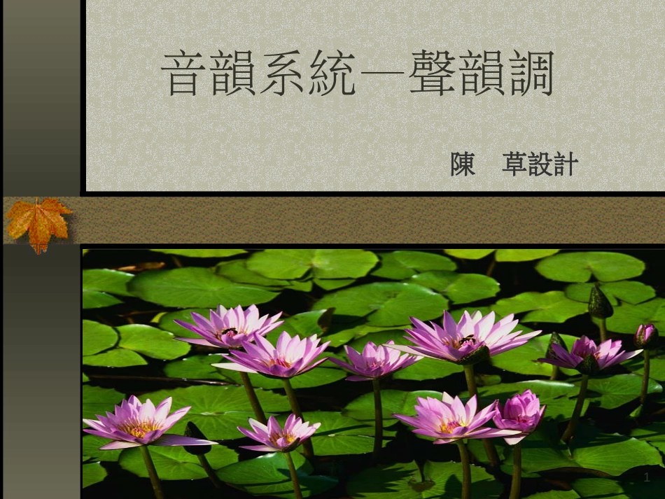 音韻系統—聲韻調_第1页