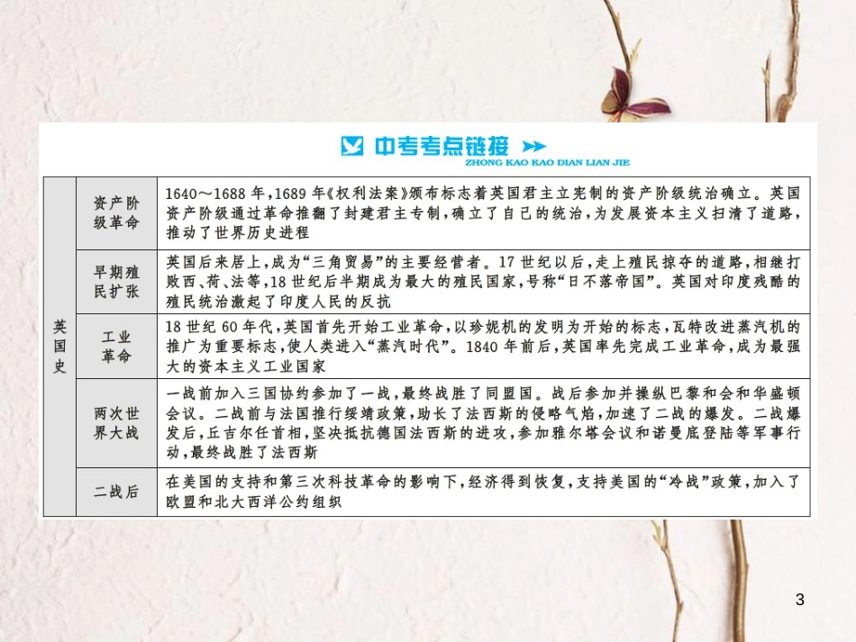 中考历史总复习 第二篇 专题突破九 大国崛起课件[共11页]_第3页