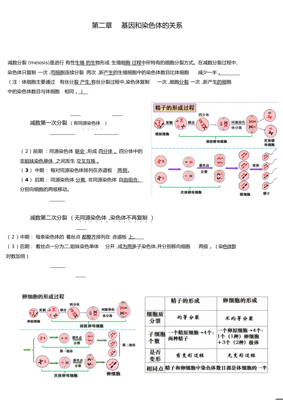 高中生物人教版必修二第二章知识点总结[共4页]_第1页