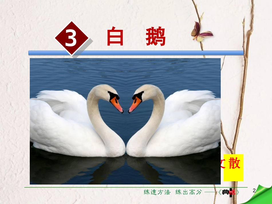 七年级语文下册 第1单元 第3课 白鹅课件 语文版[共34页]_第2页