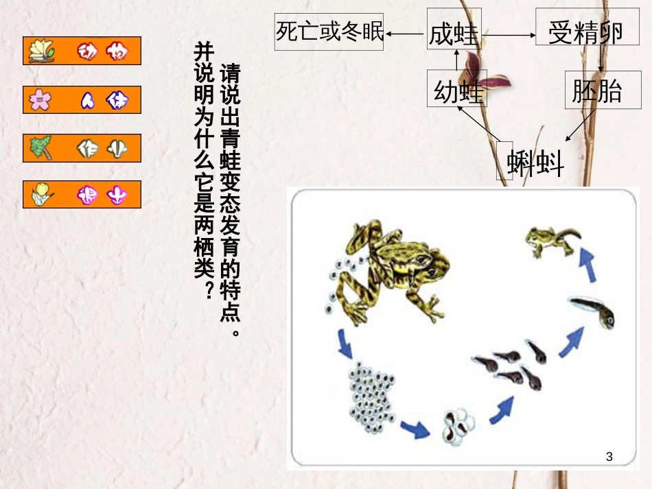 七年级科学下册 第六章《动物和人类和生殖与发育》复习课件 （新版）华东师大版[共21页]_第3页