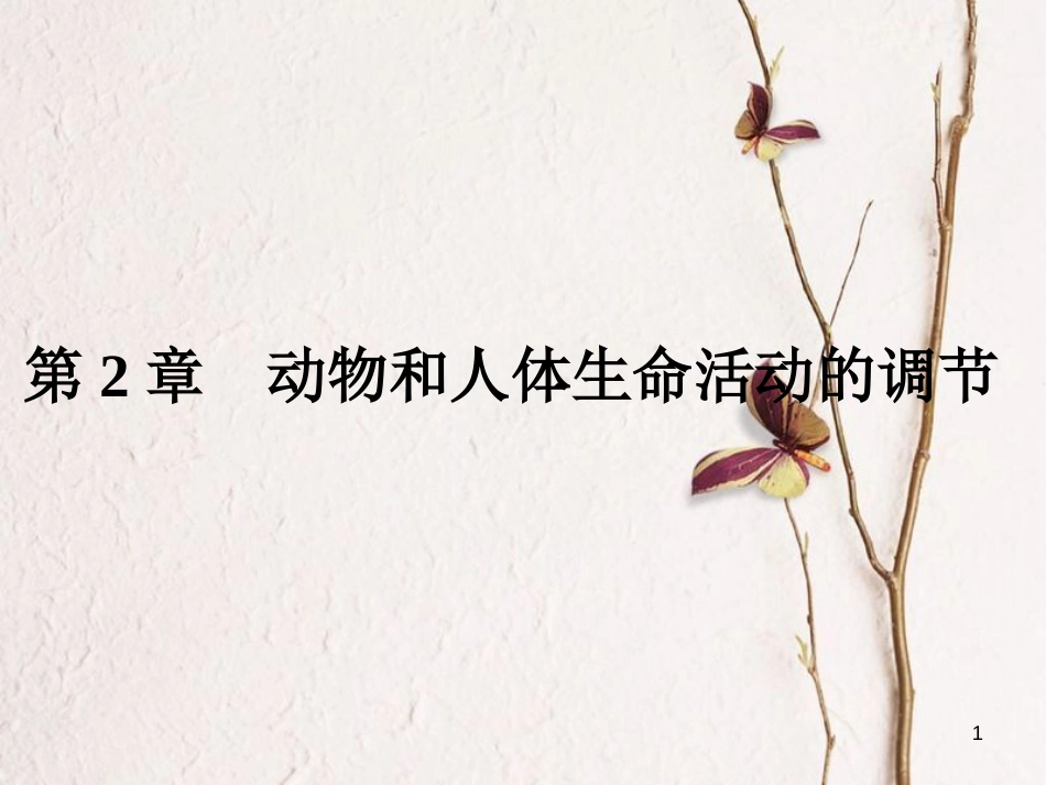 高考高考生物一轮复习 第二章 动物和人体生命活动的调节（第三十二课时）第1节 通过神经系统的调节课件 新人教版必修3_第1页