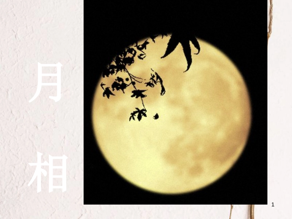 七年级科学下册 4.4《月相》课件2 浙教版[共15页]_第1页