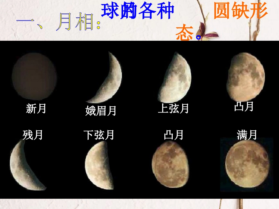 七年级科学下册 4.4《月相》课件2 浙教版[共15页]_第2页