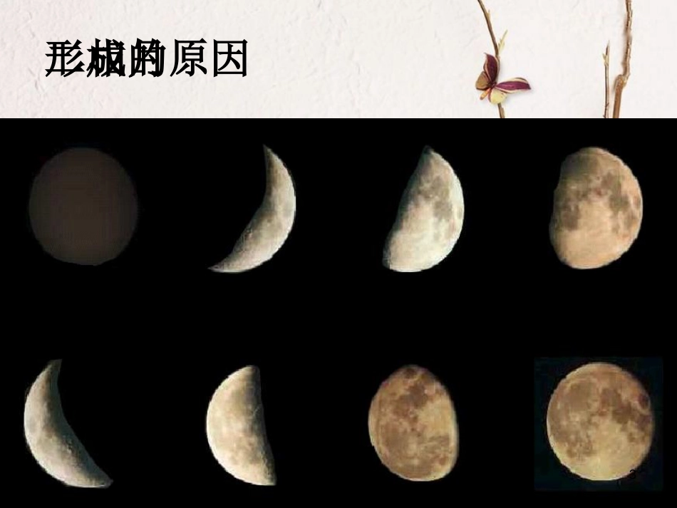 七年级科学下册 4.4《月相》课件2 浙教版[共15页]_第3页