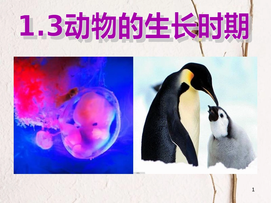七年级科学下册 1.3《动物的生长时期》课件1 浙教版[共22页]_第1页