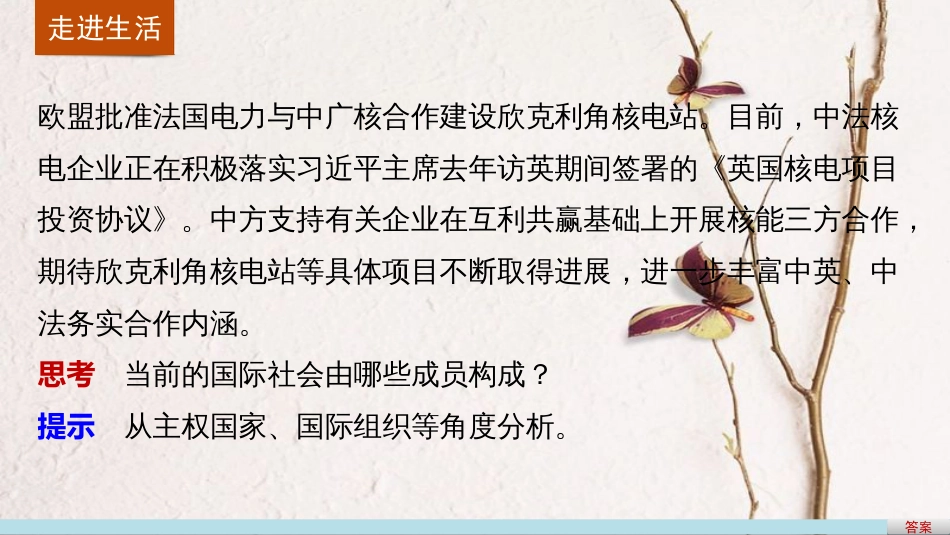 高中政治 8.1 国际社会的主要成员 主权国家和国际组织课件 新人教版必修2_第2页